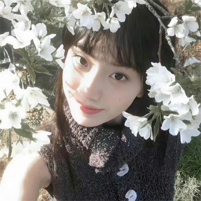 气盖山河 封面